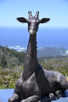 8 SF Pool GiraffeSculpture